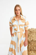 Load image into Gallery viewer, BINNY  CHESNUTS DRESS