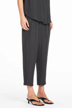 Load image into Gallery viewer, F67 1871 SOFT ZIP PANT Bark
