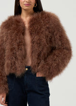 Load image into Gallery viewer, Carlo Jacket -COCOA
